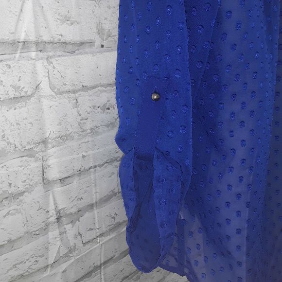 Signature Studio Blouse Womens Small Blue Swiss Dot Eyelet Button Down Top Sheer - Picture 5 of 8